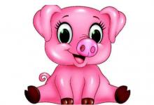 生肖豬人2021年的風(fēng)水吉兇方位,風(fēng)水禁忌有哪些