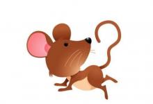 出生于1996年屬鼠人2021年命運(yùn)如何 適合佩戴什么吉祥物