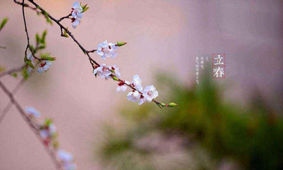 2020年2月4日立春出生的女孩缺金缺水取名溫柔名字(圖文)