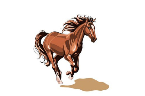 屬馬人的婚姻與命運怎么樣