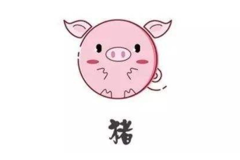 豬年的人2021年幾月運氣好