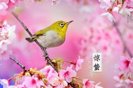 2020年驚蟄出生的女孩五行缺水文雅的女孩名字(圖文)
