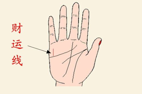 手相看男人的財(cái)運(yùn)如何