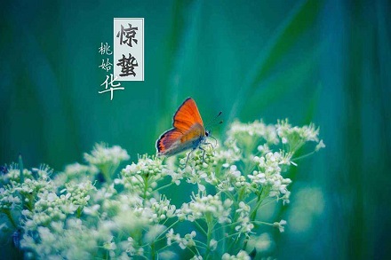 2020年驚蟄節氣出生的男寶寶五行缺土取名精選(圖文)