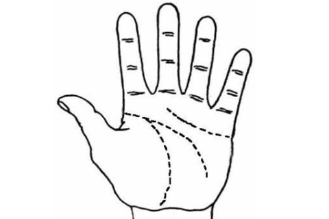 福氣滿(mǎn)滿(mǎn)的手相特征分析