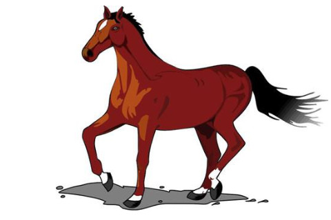 屬馬人一生的運勢分析