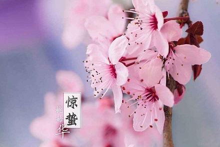 2020年3月5日驚蟄出生的女孩好聽內涵的缺金名字(圖文)