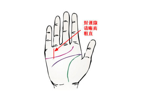 教你怎么看男人財運線？