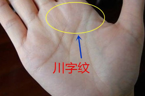 有著川字掌的男人好不好