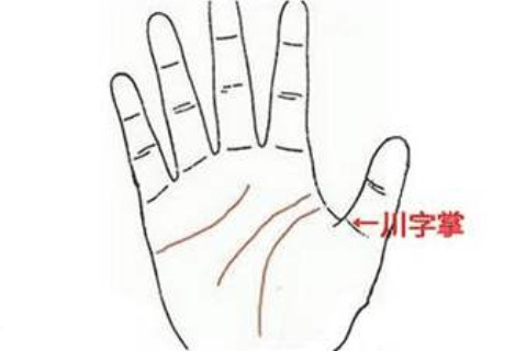 川字紋的男人手相分析