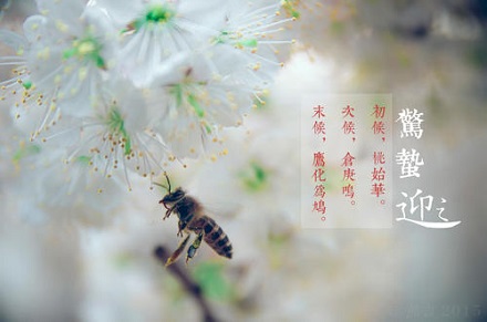 2020年3月5日驚蟄出生的女孩好聽內涵的缺金名字(圖文)