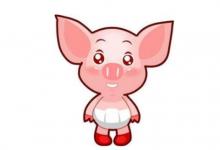 1959年屬豬62歲逢九的運(yùn)勢(shì)如何