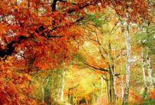 命中八字無財的人怎么樣？