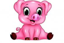 屬豬人2021年幾月財運好