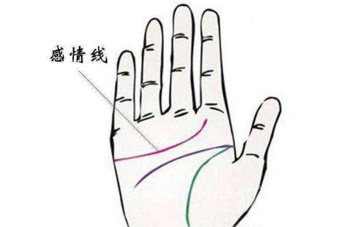 容易取得事業(yè)成功的手相特征