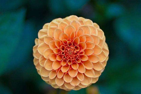 農(nóng)歷六月二十三日出生的人命運(yùn)如何