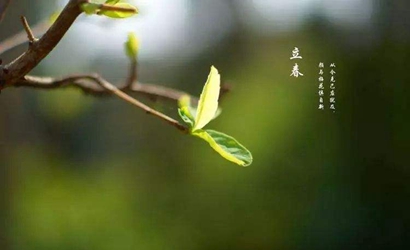 2020年立春2月4日出生的女孩八字缺土起名文雅氣質(zhì)名字(圖文)