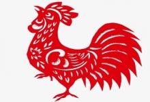 女豬男雞婚配怎么樣 婚姻能夠長久嗎？