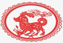 男雞女狗一起結婚怎么樣 會合適嗎？