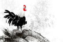 2020年屬雞10月份生肖運勢解析！10月份屬雞運勢如何？