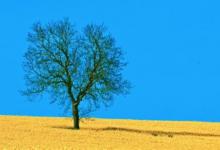 農(nóng)歷六月初八出生的人運勢分析