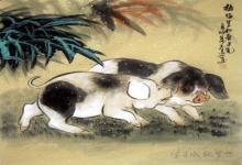 女屬豬男屬虎相配嗎 在一起會幸福嗎?