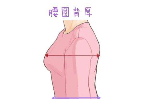 什么樣的腰型的女人有福氣