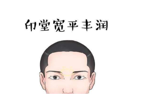 印堂飽滿的人運勢分析