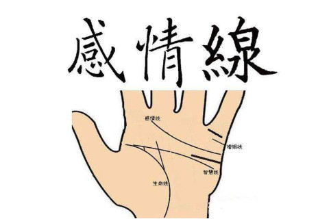 感情線太長會不會對財運有什么影響