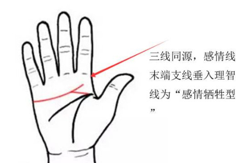 感情線太長會不會對婚姻有什么有影響