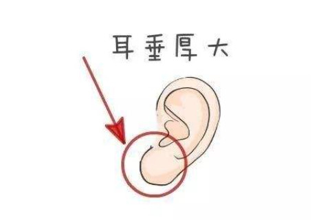 從耳朵看人運(yùn)勢(shì)如何