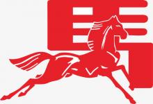 男馬女馬妻運勢如何？