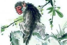 屬猴人2020年10月運(yùn)勢(shì)運(yùn)程分析