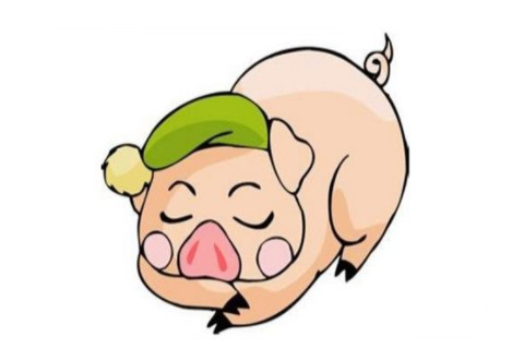 屬豬人的婚姻運勢分析
