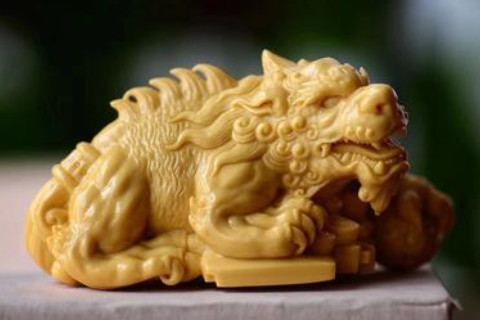 屬木的人怎樣才可以提高運(yùn)勢(shì)