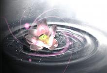 兩字網名有哪些？