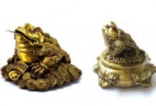 金蟾擺放的注意事項