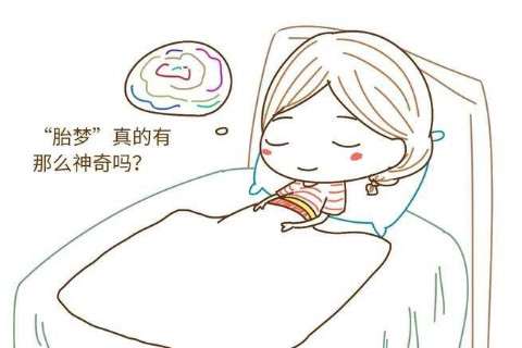 孕婦夢見好多魚