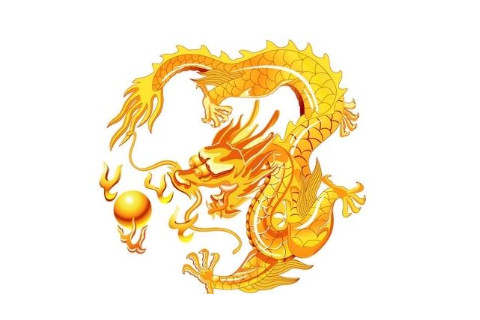屬龍的人2021年運(yùn)程分析