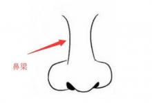 鼻子看相：五種富貴鼻型