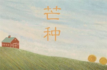 2000年芒種出生的屬龍人命運解析，屬龍人宜配生肖解析