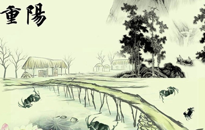 屬兔的人在75年重陽節(jié)出生好嗎,重陽節(jié)喝菊花酒的寓意