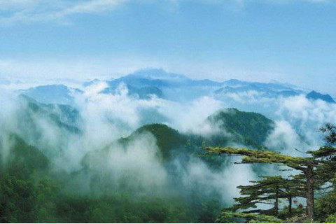 夢見上山