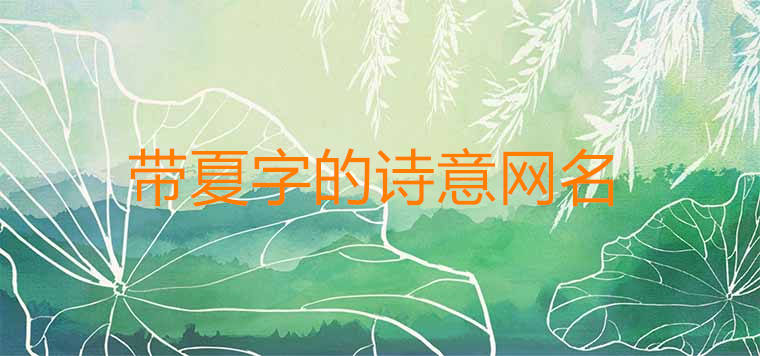 帶夏字的詩意網名如何取更吸引人