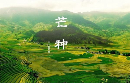 2000年芒種出生的屬龍人命運解析，屬龍人宜配生肖解析