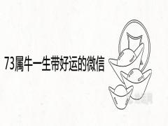 73屬牛一生帶好運(yùn)的微信名字順利又旺財(cái)?shù)木W(wǎng)名