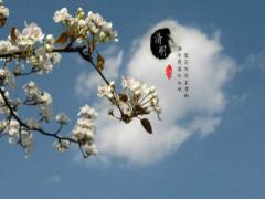 2021年清明節(jié)出生的牛寶寶命運(yùn)好嗎,明年清明節(jié)是哪一天?