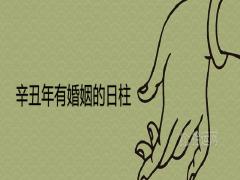 辛丑年有婚姻的日柱