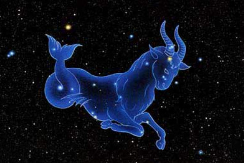 摩羯座和什么星座最配？