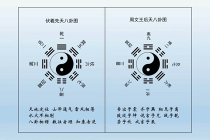 八字配對測試_身體指標測試_八字身體測試